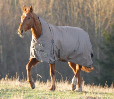 Shires Typhoon Midweight Combo Horse Turnout Blanket