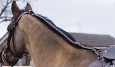 Shires Nylon Daisy Rein Best Price