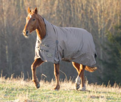 Shires Typhoon Heavyweight Combo Horse Turnout Blanket