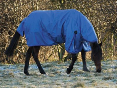 Shires Typhoon Midweight High Neck Horse Turnout Blanket