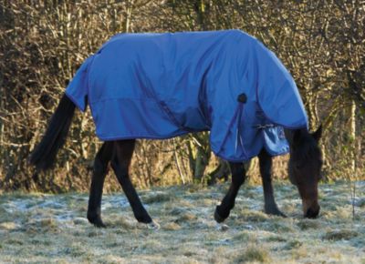 Shires Typhoon Heavyweight High Neck Horse Turnout Blanket