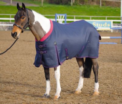 Shires Westbourne Lightweight Horse Stable Blanket