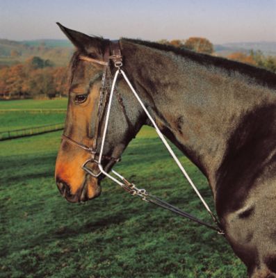 Shires De Gogue Training Martingale Best Price