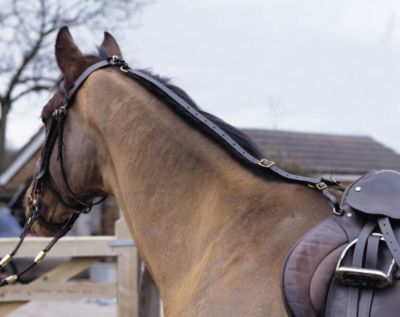 Shires Leather Daisy Rein Best Price