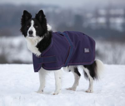 SE Typhoon Wthrprof Dog Coat Best Price