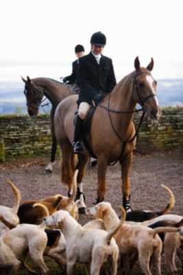 Shires Mens Clifton Hunt Coat Best Price
