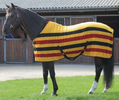 Shires Newmarket Fleece Best Price