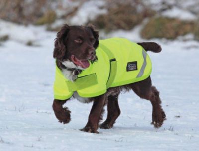 SE Typhoon Flourescent Yellow Dog Blckt Best Price