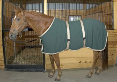 Saratoga Horseworks AntiSweat Sheet