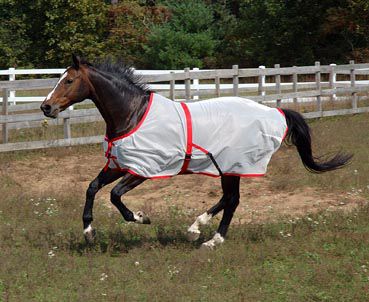 Saratoga Horseworks Summer Turnout