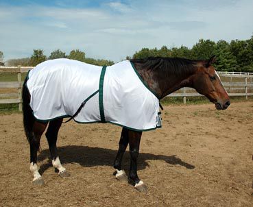 Saratoga Horseworks Oasis Summer Turnout
