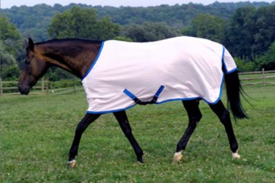 Saratoga Horseworks Oasis Euro Summer Turnout