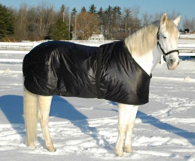 Saratoga Horseworks Primaloft Horse Blanket Liner