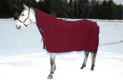 Saratoga Horseworks PolarTec 200 Horse Cooler