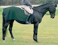 Saratoga Horseworks PolarTec 200 Exercise Rug