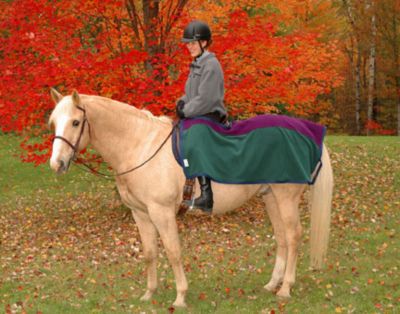 Saratoga Horseworks PolarTec 200 Riding Blanket
