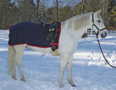 Saratoga Horseworks Fleece Exercise Rug