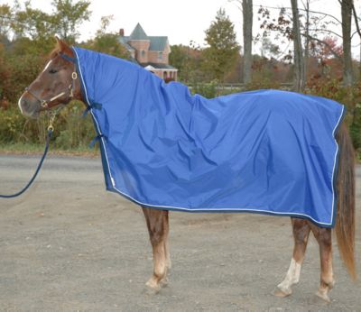 Saratoga Horseworks Adirondack Rainsheet
