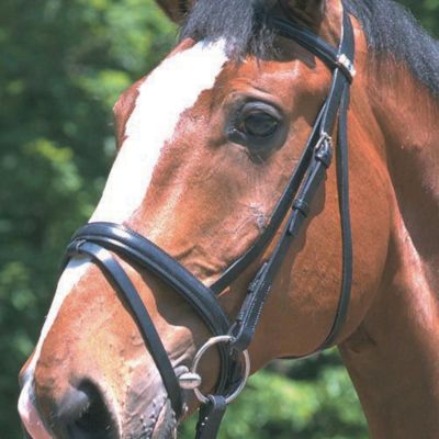 Stubben 3/4  Cheek Raised Flash Noseband Bridle Best Price