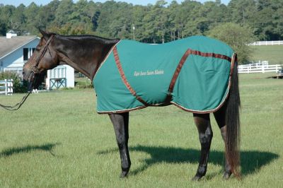 Triple Crown Custom Cordura Daysheet Best Price