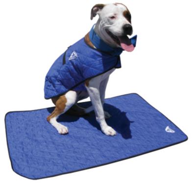 Techniche Hyperkewl Evaporative Cooling Dog Coat Best Price
