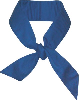 Techniche TechKewl Phase Change Cooling Neck Band Best Price