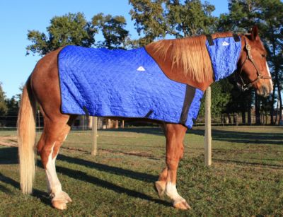 Techniche HyperKewl Evaporative Cooling Horse Blanket Best Price
