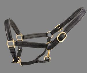 ThinLine Padded Leather Halter