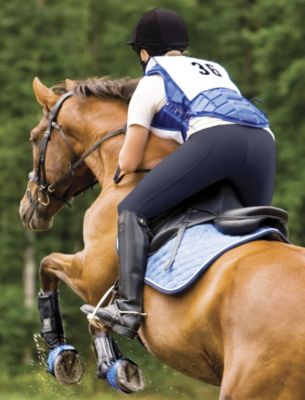 Irideon Ladies Cadence Riding Breeches