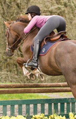Irideon Ladies Issential Riding Tights