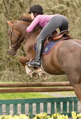 Irideon Ladies Issential Low Rise Riding Tights