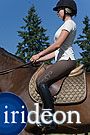 Irideon Ladies Rococo Issential Riding Tights