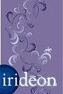 Irideon Ladies Riding Vine Tee Shirt