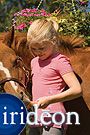 Irideon Kids Pony ArgyleTee Shirt