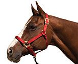 Blocker Halter