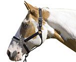 Blocker Control Halter