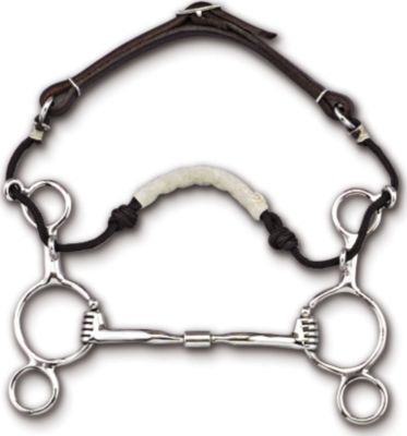 Myler Two Ring Combination Bits