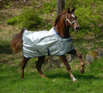 Bucas Power All-In-One Classic Heavy Weight Turnout Blanket Best Price