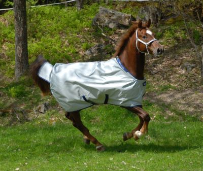 Bucas Power Light Weight Horse Turnout Blanket Best Price