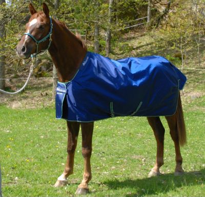 Bucas Smartex All-In-One Heavyweight Turnout Blanket Best Price