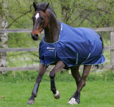 Bucas Smartex Rain Lightweight Horse Turnout Blanket Best Price