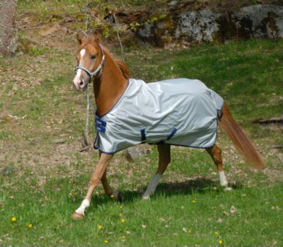 Bucas Sun Shower Lightweight Horse Turnout Blanket Best Price
