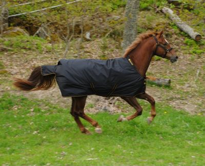 Bucas Irish Extra Heavyweight Horse Turnout Blanket Best Price