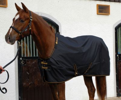Bucas Irish Lightweight Horse Turnout Blanket Best Price