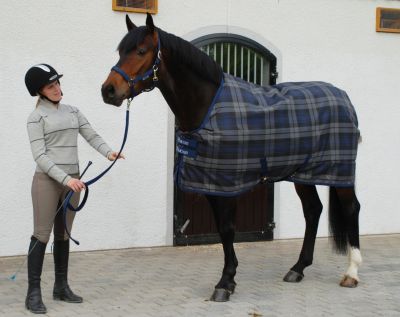 Bucas Celtic Midweight Horse Stable Blanket Best Price