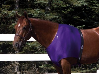 Tokllat Jammies Shoulder Guard Best Price