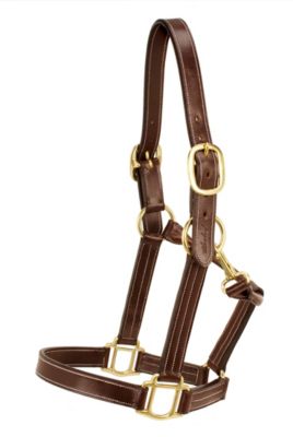 Silverleaf Plain Halter with Brass Fittings