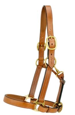 Silverleaf Padded Halter with Brass Fittings