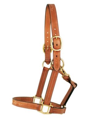 Silverleaf Fancy Halter with Brass Fittings