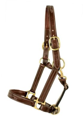Silverleaf Fancy Padded Halter with Brass Fittings